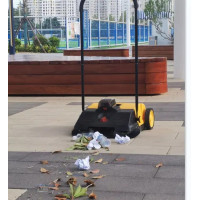 Підмітальна акумуляторна машина Sweeper JL550E 5000mAh 25л Колір Сірий