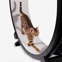 Бігове колесо для котів CutePet R01 XXL  для середніх та великих порід кішок Колір Чорний